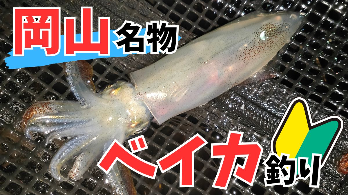 岡山 ベイカ