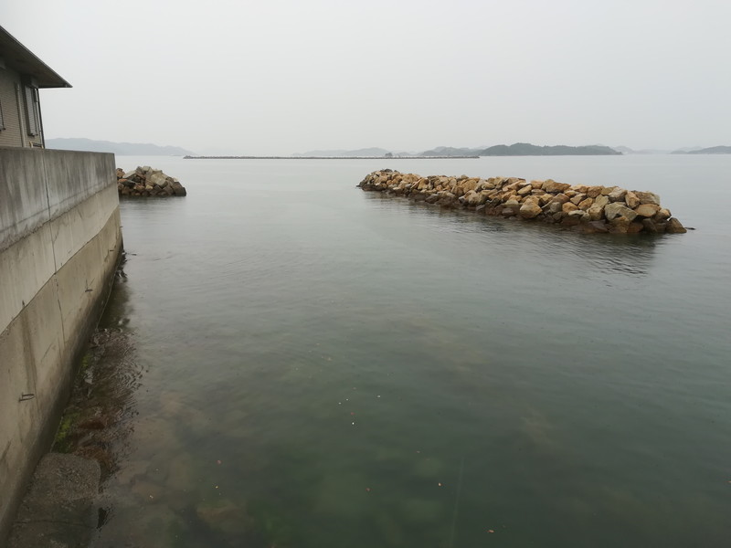 田井港