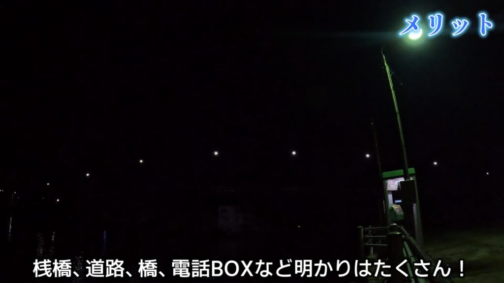 夜　サビキ　仕掛け