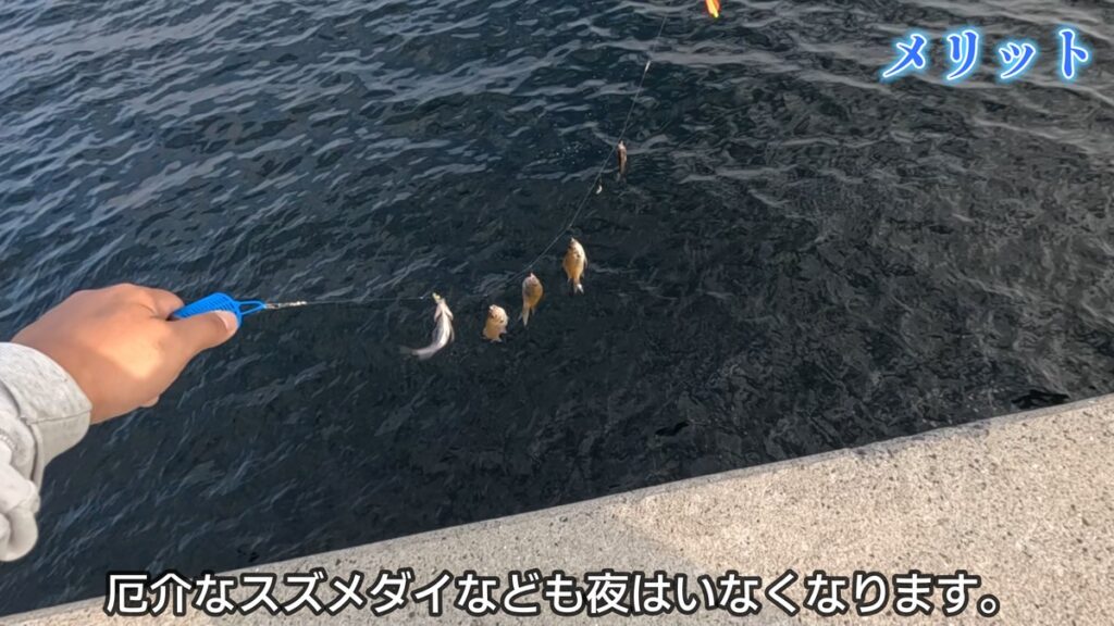 夜　サビキ　仕掛け