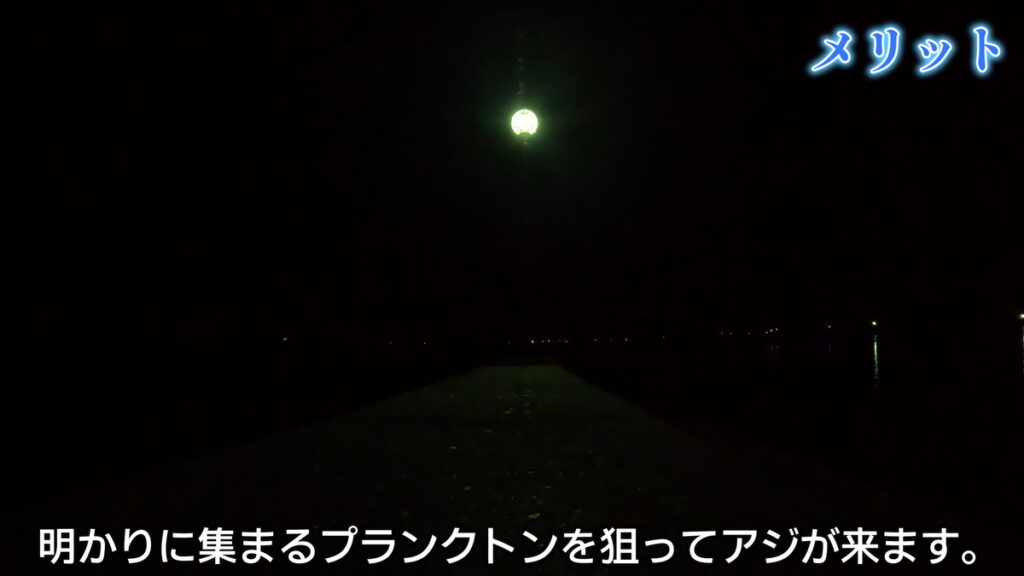 夜　サビキ　仕掛け