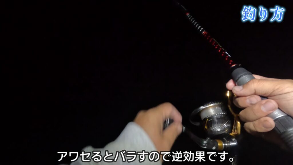 夜　サビキ　仕掛け