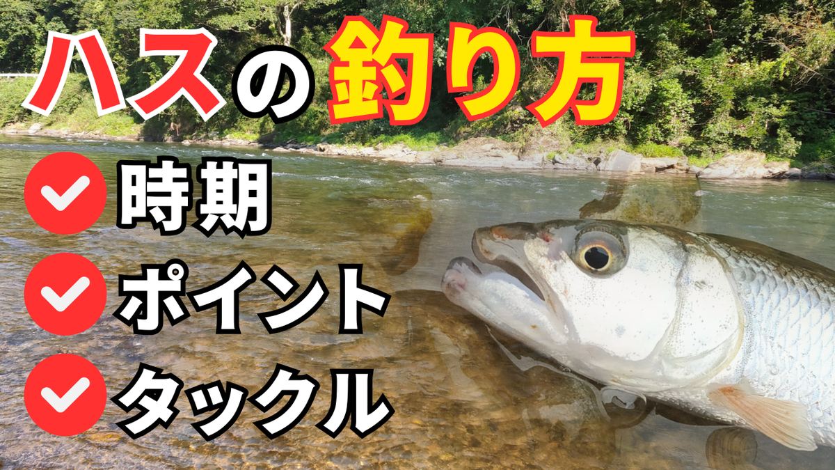 ハス　釣り方