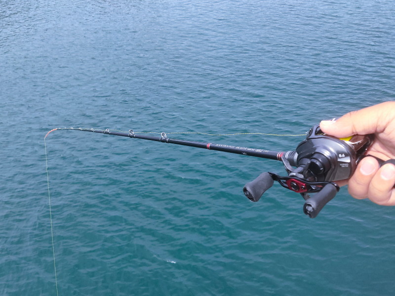 カワハギ　堤防　釣り