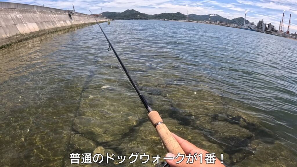 チヌ　トップ　釣れない