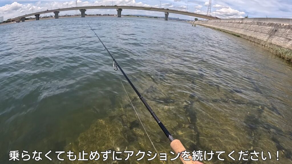 チヌ　トップ　釣れない