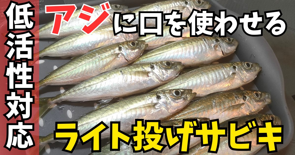 アジ　釣れない　サビキ