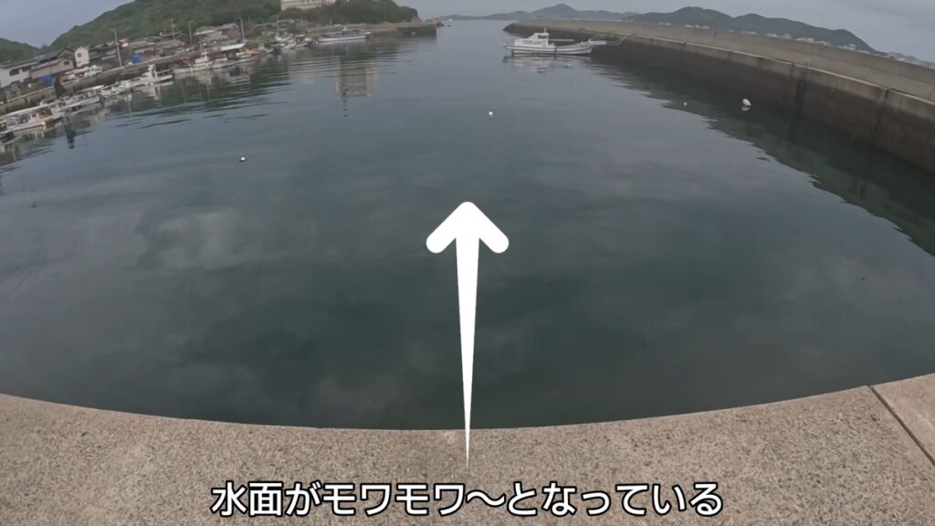 アジング　産卵期