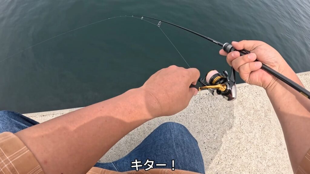 アジング　産卵期