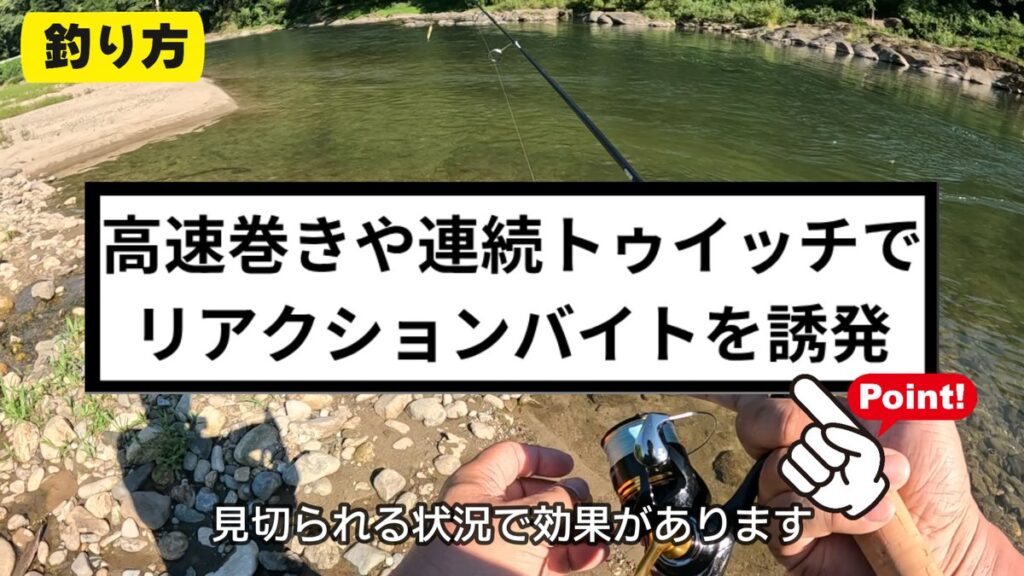 ハス釣り ルアー