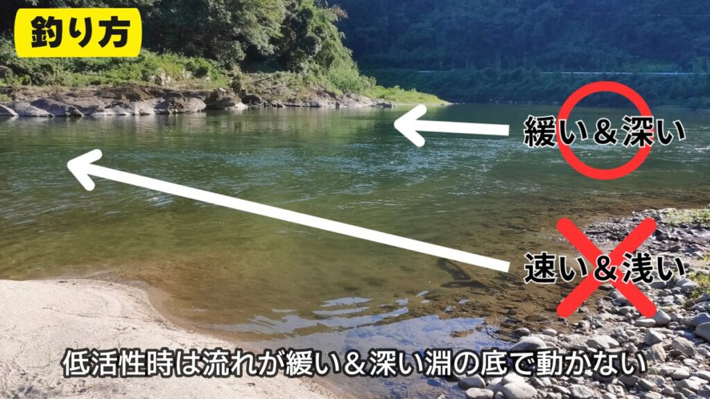 ハス釣り ルアー