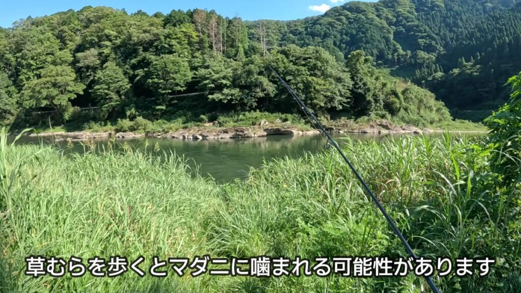 ハス釣り ルアー