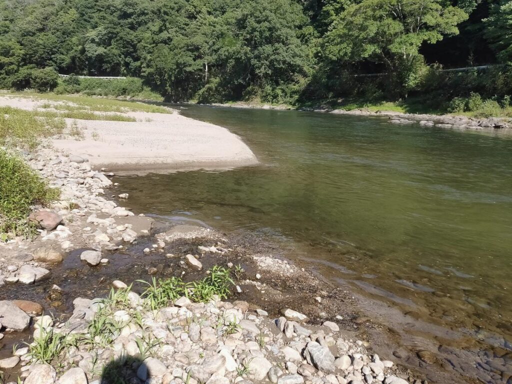 ハス釣り ルアー