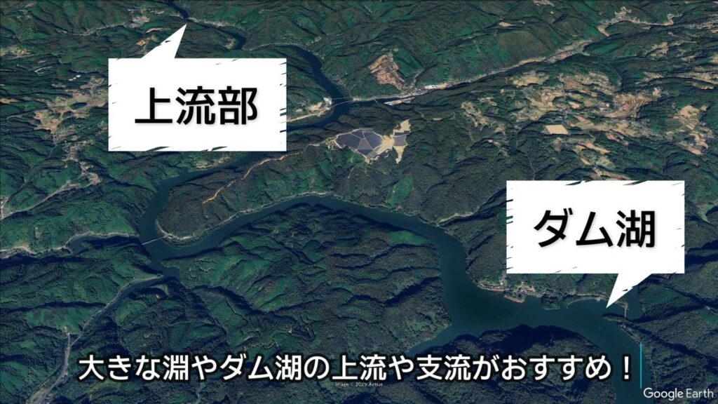 ハス釣り ルアー