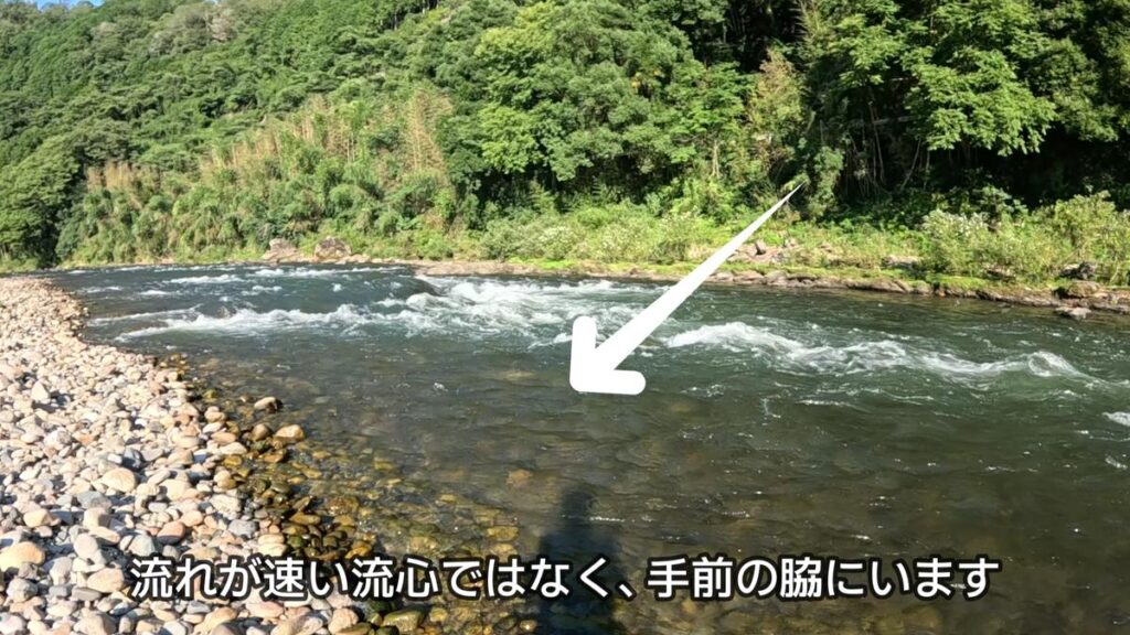 ハス釣り ルアー