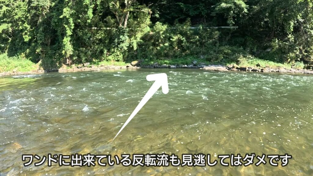 ハス釣り ルアー