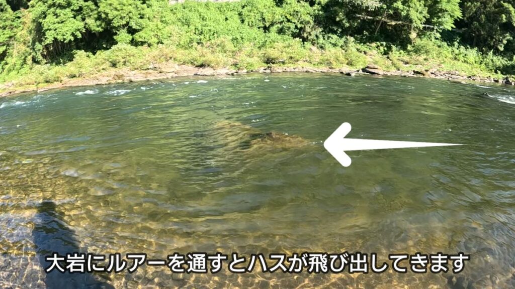ハス釣り ルアー