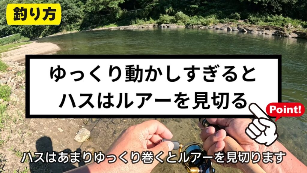 ハス釣り ルアー