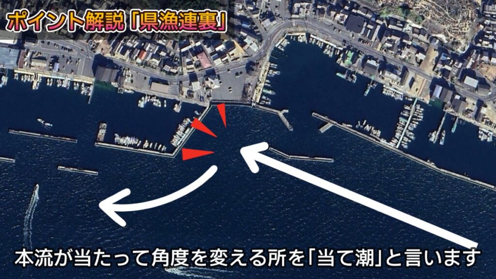 アジング ポイント 探し方