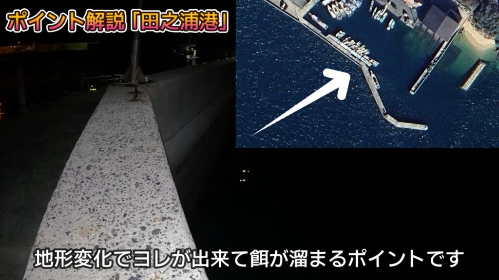 アジング ポイント 探し方