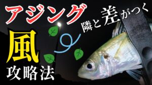 アジング 風