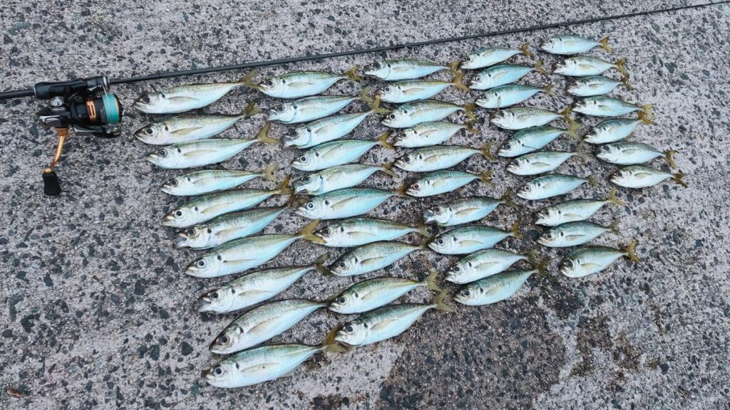 アジング　PEライン