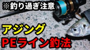 アジング　PEライン
